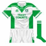 2003:
Another meeting with Meath - this time in the championship - meant another change. Like the 'home' shirt but with added green on the side panels.