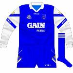 2002:
In 2002, O'Neills began to issue shirts to goalkeepers featuring plain necks and collars. This was used by Stephen Brenner for that year's All-Ireland semi-final loss to Clare, the last time Waterford wore O'Neills.